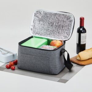 Bolsa Térmica 10L